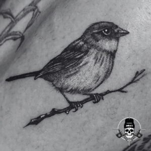 bird ttattoo