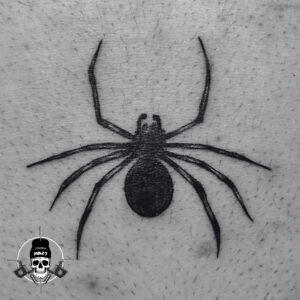 spider tattoo
